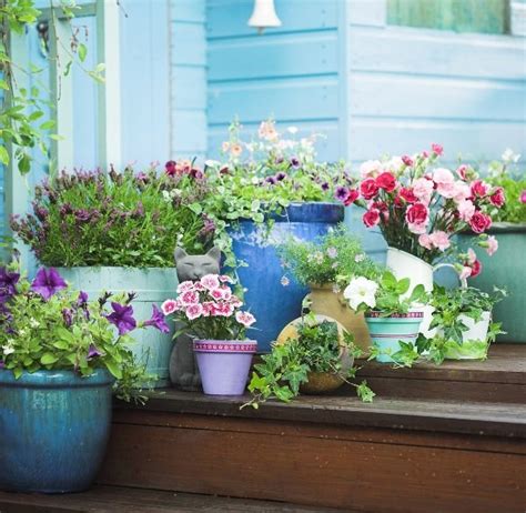 Transform your outdoor space with a variety of new pots and containers brimming with plants. Patio and Balcony Planter Ideas