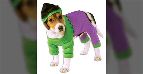 Fun List Awesome Avengers Dog Costumes For Halloween