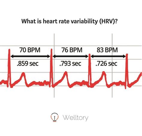 What Does A Heart Rate Of Bpm Mean Best Home Design Ideas