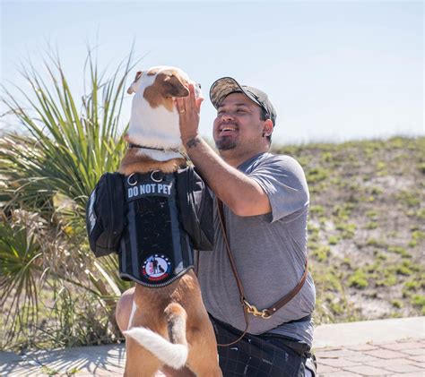 Program K9s For Warriors Service Dogs For Veterans