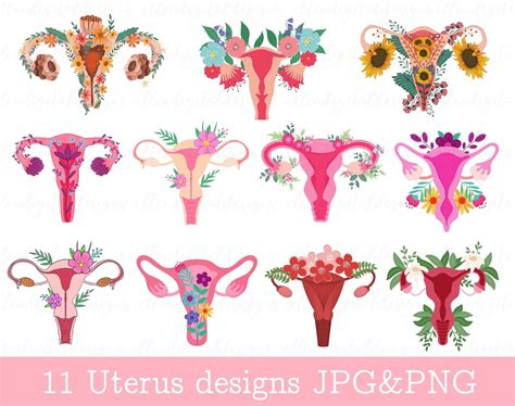Utérus floral png Utérus avec fleurs png Utereses png png Etsy France