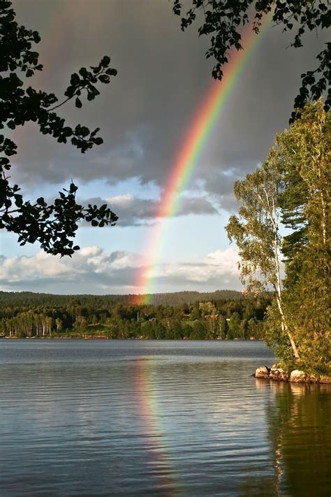 Maybe you would like to learn more about one of these? Regenbogen in Schweden - Spektrum der Wissenschaft