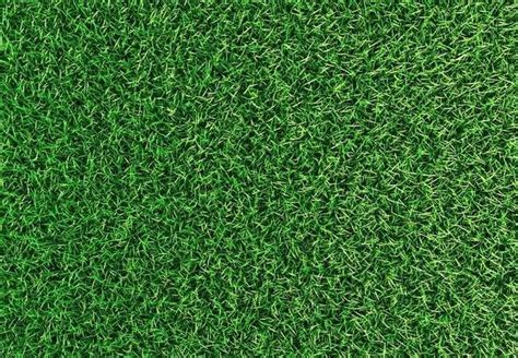 Organic Lawn Care Tips For Greener Grass Bob Vila