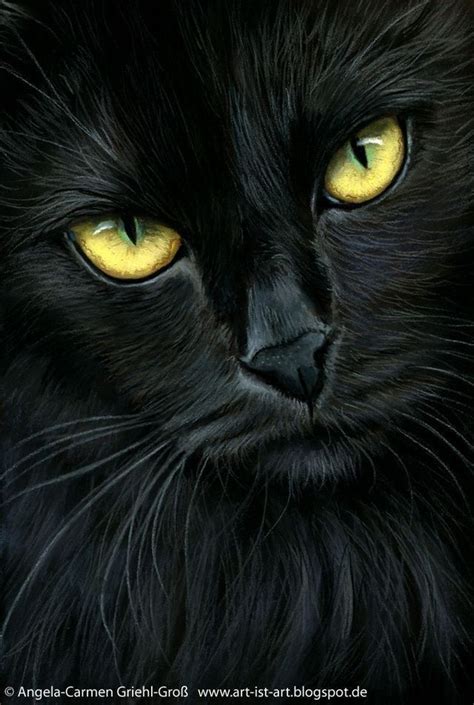 Pin By Janusz Gdynia On Lol Black Cat Painting Black Cat Art Cat Art