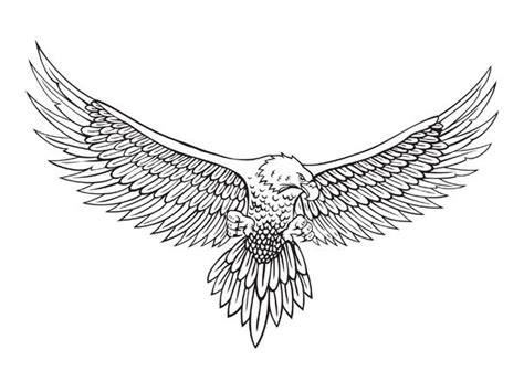 Is Registered With Pair Domains Eagle Tattoos Eagle