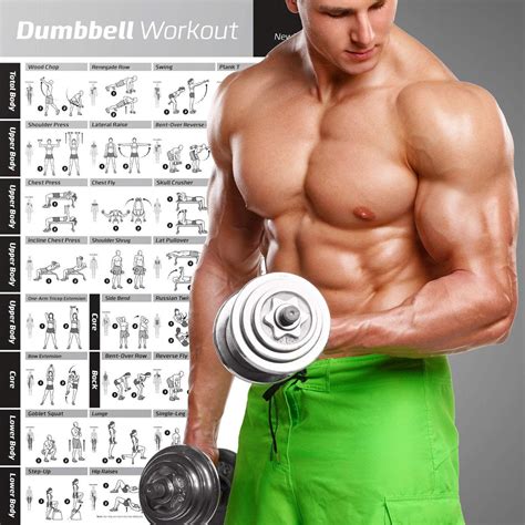 Dumbbell Exercise Poster Vol 1 Laminated Newmefitness