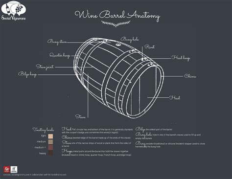 Anatomy Of A Wine Barrel Parts Sizes Infographic