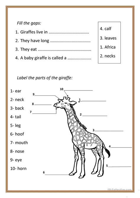 Be sure they write it all down to get practice at setting up equations. Why Do Giraffes Have Long Necks Worksheet - Photo Giraffe ...