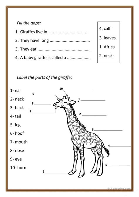 Why Do Giraffes Have Long Necks Worksheet - Photo Giraffe ...