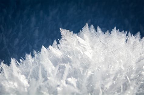 Fotos Gratis árbol Rama Montaña Nieve Frío Nube Cielo Luz De