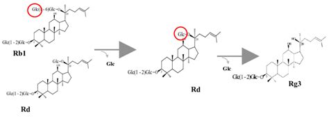 Conversion Pathway Of Ginsenosides Rb1 And Rd To Rg3s By Recombinant Download Scientific