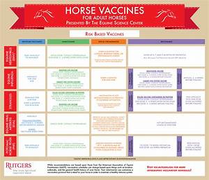 Does Your Horse Have A Fever Equine Science Center