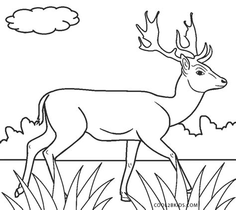 Deer coloring pages free printable coloring pages anna illustration fictional characters illustrations fantasy characters. Free Printable Deer Coloring Pages For Kids | Cool2bKids