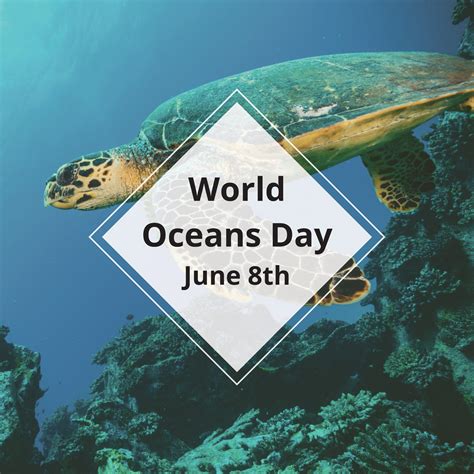 World Oceans Day San Rafael