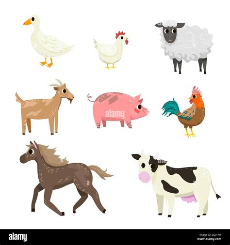 Verschiedene Bauernhof Tier Cartoon Figuren Vektor Illustration Set