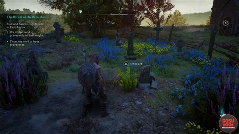 Building a hunter's hut in your settlement will allow you to turn their pelts in for rewards, and there's a trophy tied to hunting them all. AC Valhalla Nightshade Location - DoraCheats