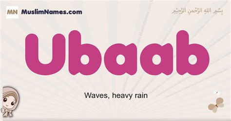 Ubaab Meaning Arabic Muslim Name Ubaab Meaning