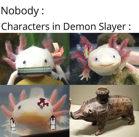 Axolotl Nezuko Ranimemes Axolotl Know Your Meme