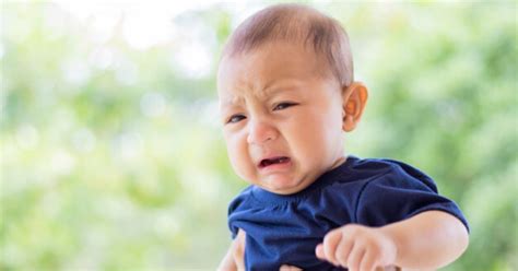 Botol susu biasa digunakan untuk memberi susu formula atau pun asi kepada bayi ketika sang ibu sedang atau tidak mampu memberikan asi. Sukar 'Meneran', Bayi Cenderung Sembelit Jika Campur Minum ...