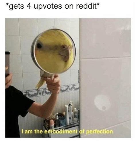 I Am The Embodiment Of Perfection Reddit Know Your Meme