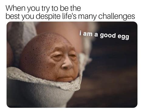 I Present To You The Wholesome Good Egg Meme Egg Meme Memes Funny Memes