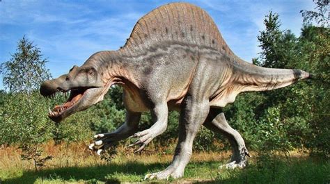 Unexpectedly These 5 Animals Are Older Than Dinosaurs World Today News