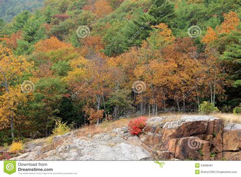 Fall Foliage And Rocky Mountainside Stock Image Image Of Weather