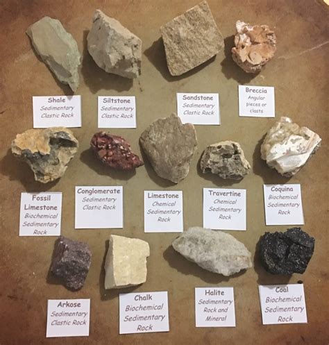 Rocks And Minerals The Stuff Of The Earth Samples Only Northwest