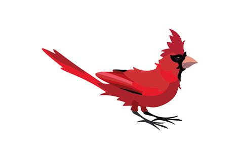 Indiana State Bird Northern Cardinal Svg Cut File By Creative Fabrica