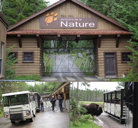 Le Zoo Sauvage De Saint Félicien Un Incontournable On Met Les