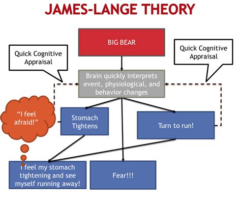 James Lange Theory Psychology Of Human Emotion