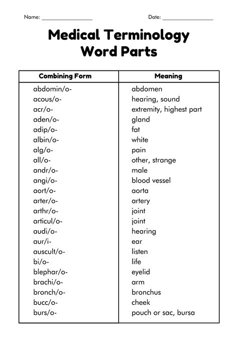 Anatomical Terminology Worksheet Printable Word Searches