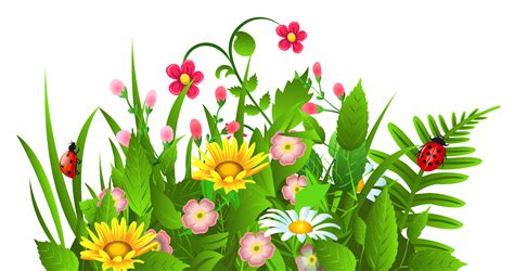 Free Summer Flower Cliparts Download Free Summer Flower Cliparts Png