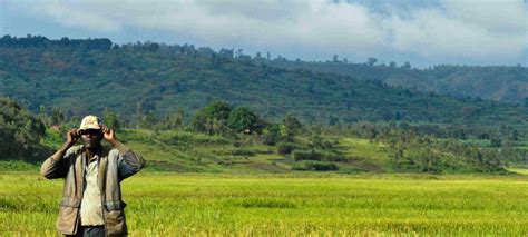 Transformative Adaptation Actions In The Agriculture And Land Use Sectors