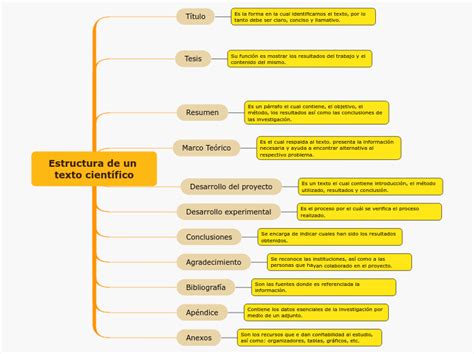 Estructura De Un Texto Cientí Mapa Mental Amostra