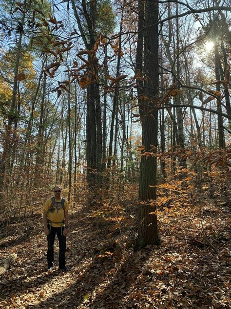 5,792 likes · 153 talking about this. Old Growth Forest and Old Farmland Trail Loop - New York ...