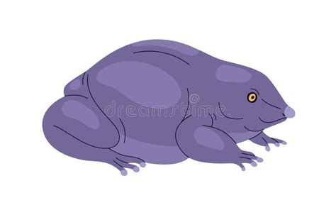 Purple Pignose Frog Indian Violet Froggy With Smooth Skin Stock Vector