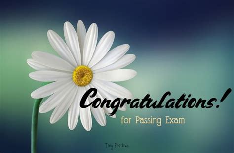 Congratulations For Passing Exam And Good Result Quotes About