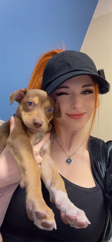 Tw Pornstars Amouranth Twitter Live Now Charity Stream At An