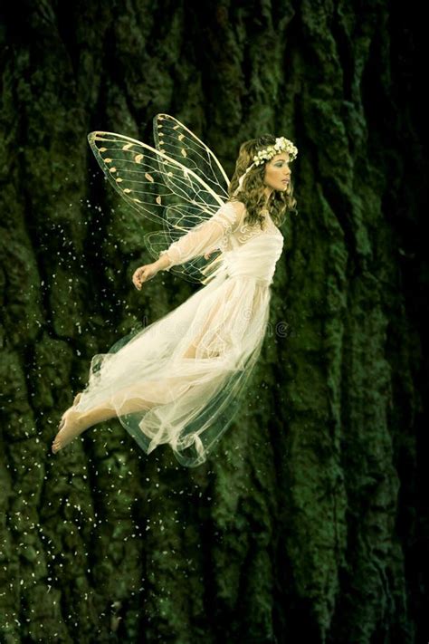 Flying Fairy Stock Image Image Of White Delicate Beauty 43062575