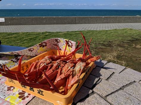 日本釣魚攻略（海釣基本篇） 阿茲辛蒂自遊中，日本戶外自助行