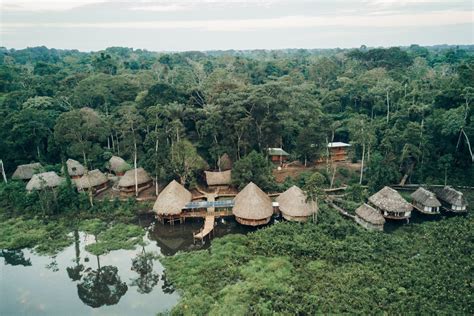 Amazon Rainforest Tribe Huts