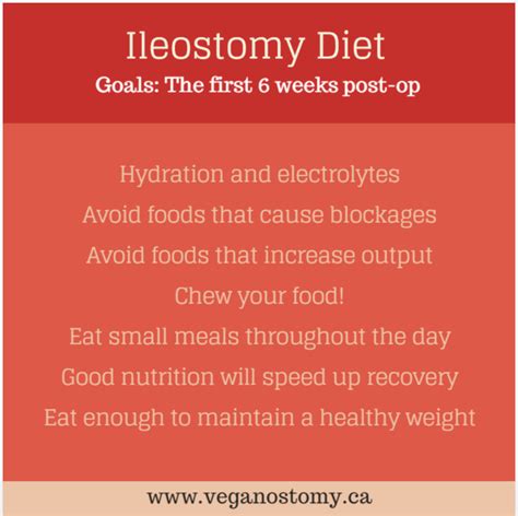 Ostomy Diet What To Eat In The First Six Weeks Low Fiber Diet Diet