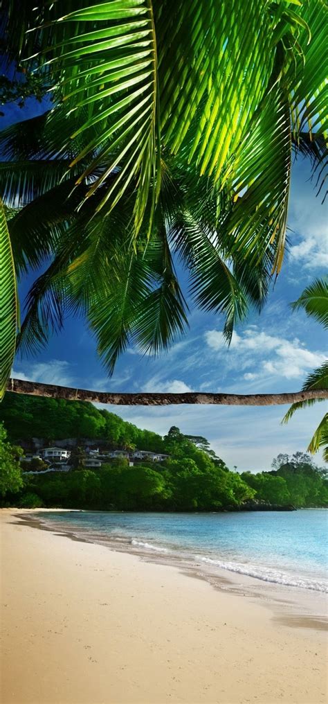 33 Tropical Beach Hd Wallpapers Wallpapersafari