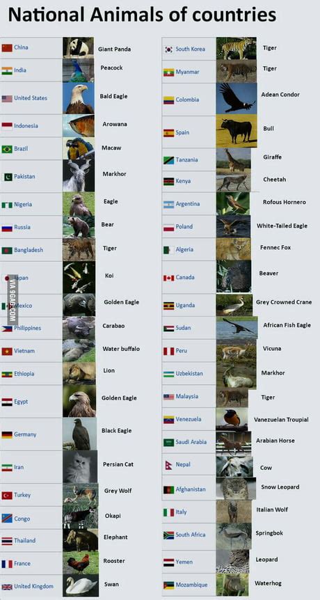 Top 181 National Animal Of Other Countries