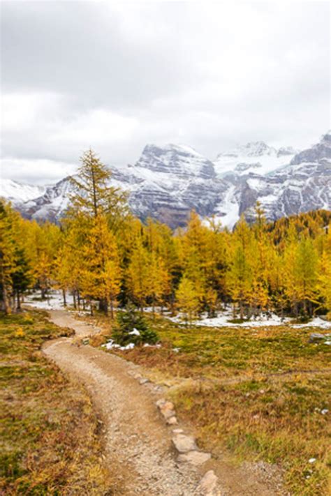 Larch Valley Hike Banff National Parks Most Beautiful