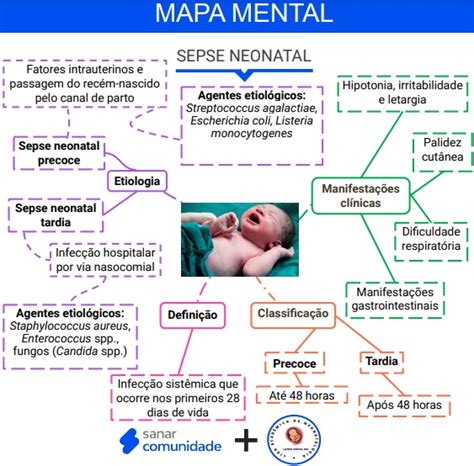 Sepse Neonatal Resumo Mapa Mental Ligas Sanar Medicina The Best Porn