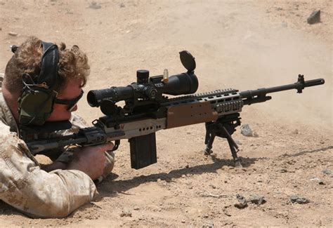 M14 Ebr Sniper Rifle