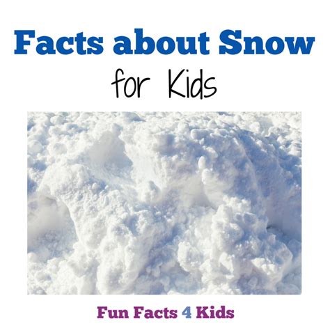 Fun Facts About Snow For Kids Fun Facts 4 Kids