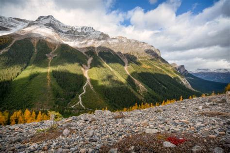 Paradise Valley Banff National Park Stock Photos Pictures And Royalty